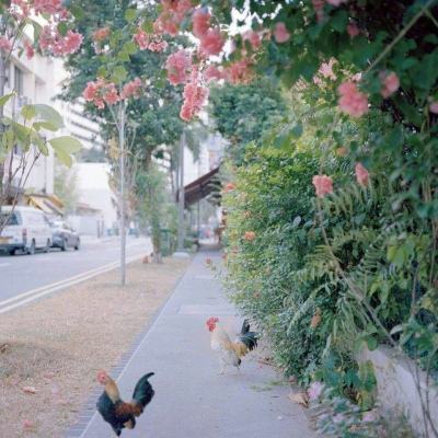 im电竞官网下载手机版